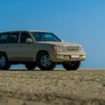 reliable digital stability platform